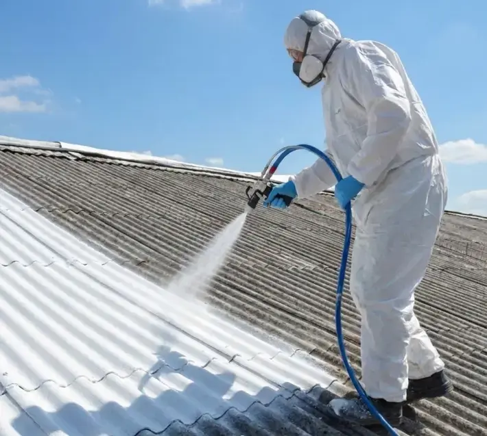 Asbestos cement encapsulation